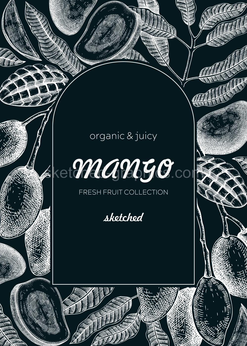 Fruit design template on chalkboard. Realistic mango hand-drawn vector illustration. Exotic fruit, mango tree branches, leaves sketches. Vintage frame, packaging, Healthy food. Summer design element Illustration